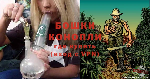 дурь Богородицк