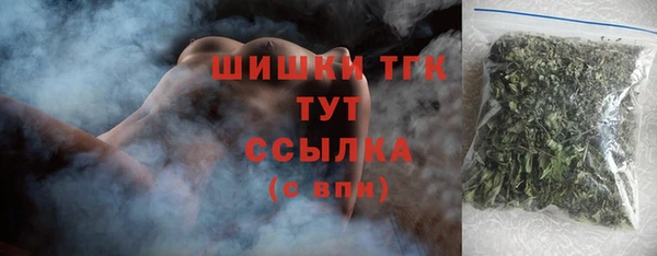 молекула духа Покров