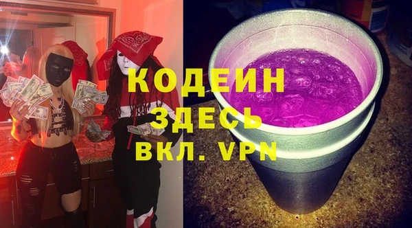 индика Покачи