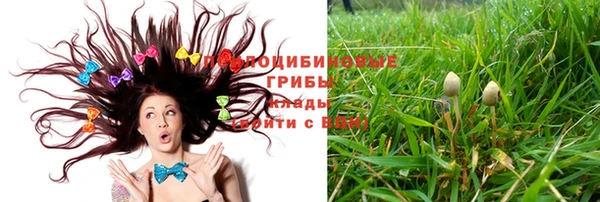 кокс Богданович