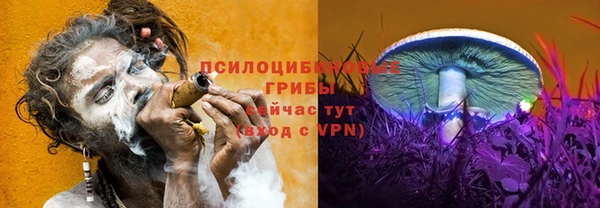 тгк Балабаново